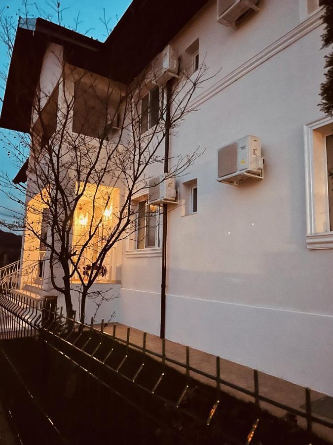 Cochet Boutique Hotel Târgu Jiu Buitenkant foto